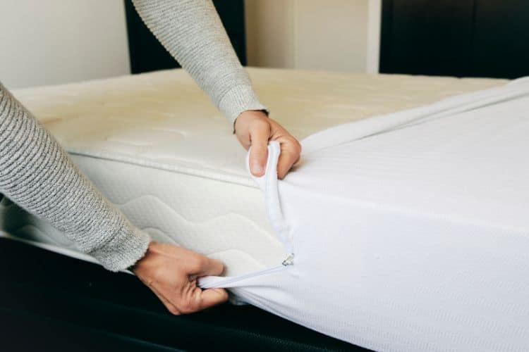 Man Covering Mattress with Mattress Protector