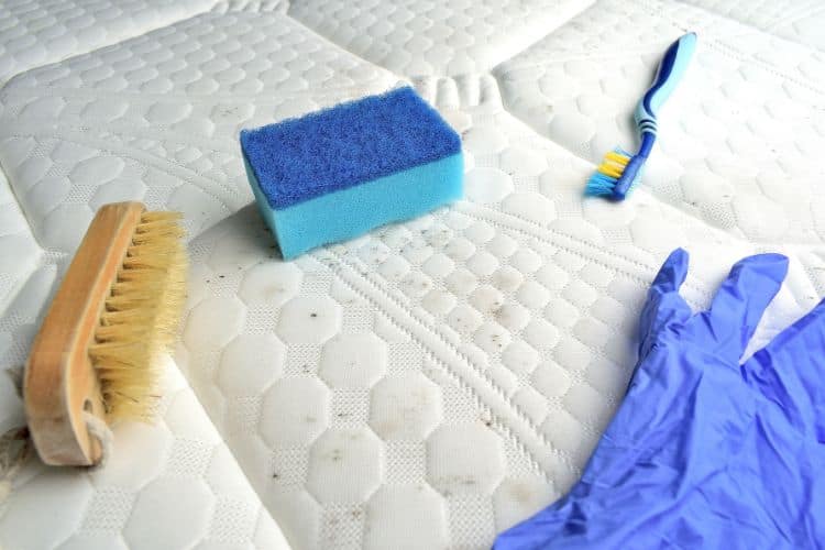 Removing mold stains from a mattress