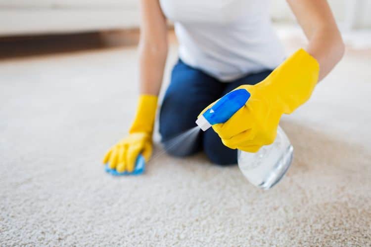 Woman using a carpet cleaner
